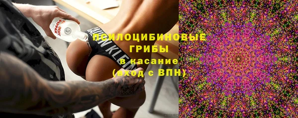 ГАЛЛЮЦИНОГЕННЫЕ ГРИБЫ Алзамай