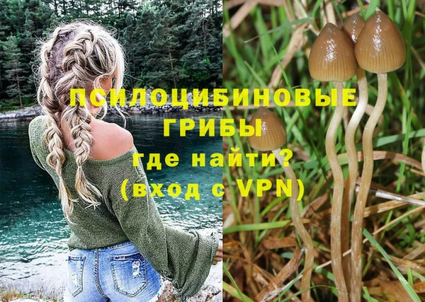кокаин колумбия Алексин